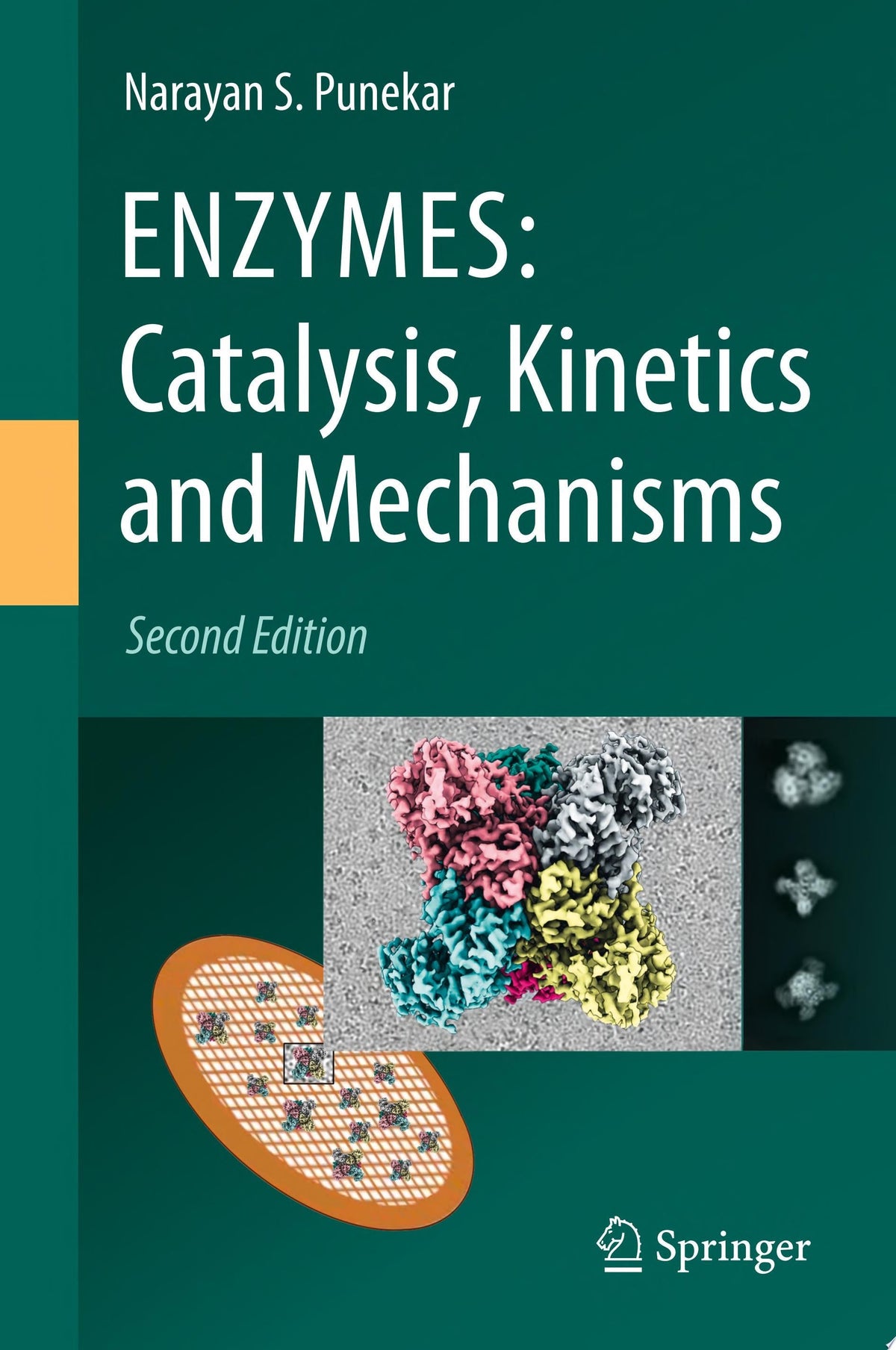 ENZYMES: Catalysis, Kinetics and Mechanisms