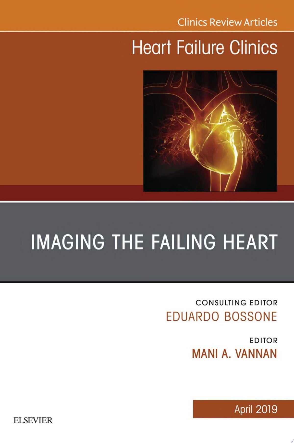 Imaging the Failing Heart, An Issue of Heart Failure Clinics