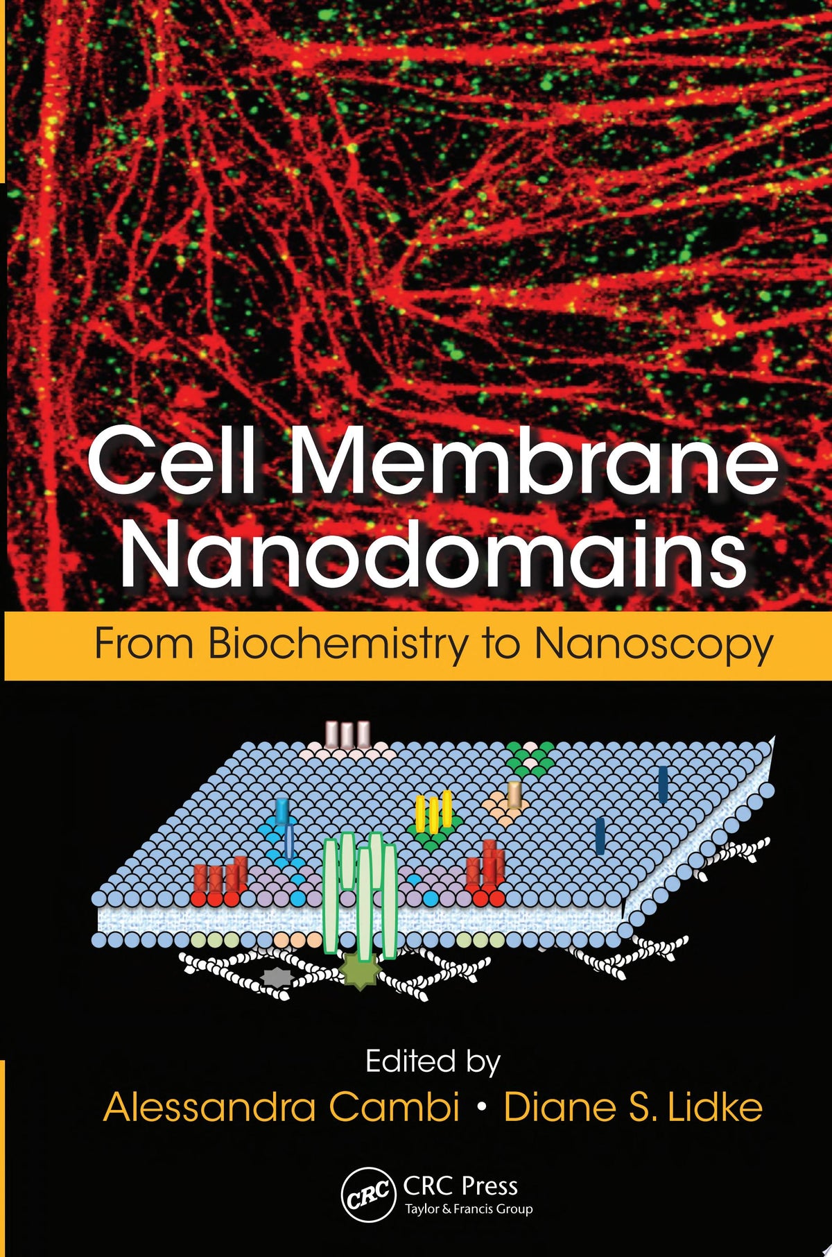 Cell Membrane Nanodomains: From Biochemistry to Nanoscopy