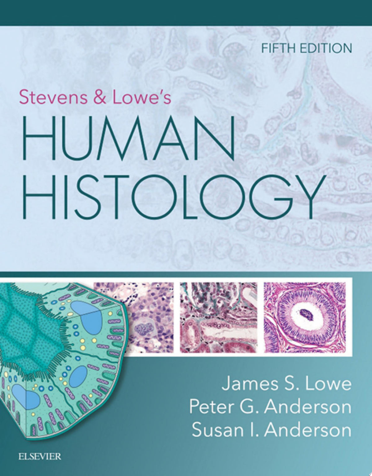 Stevens & Lowe’s Human Histology, 5th Edition