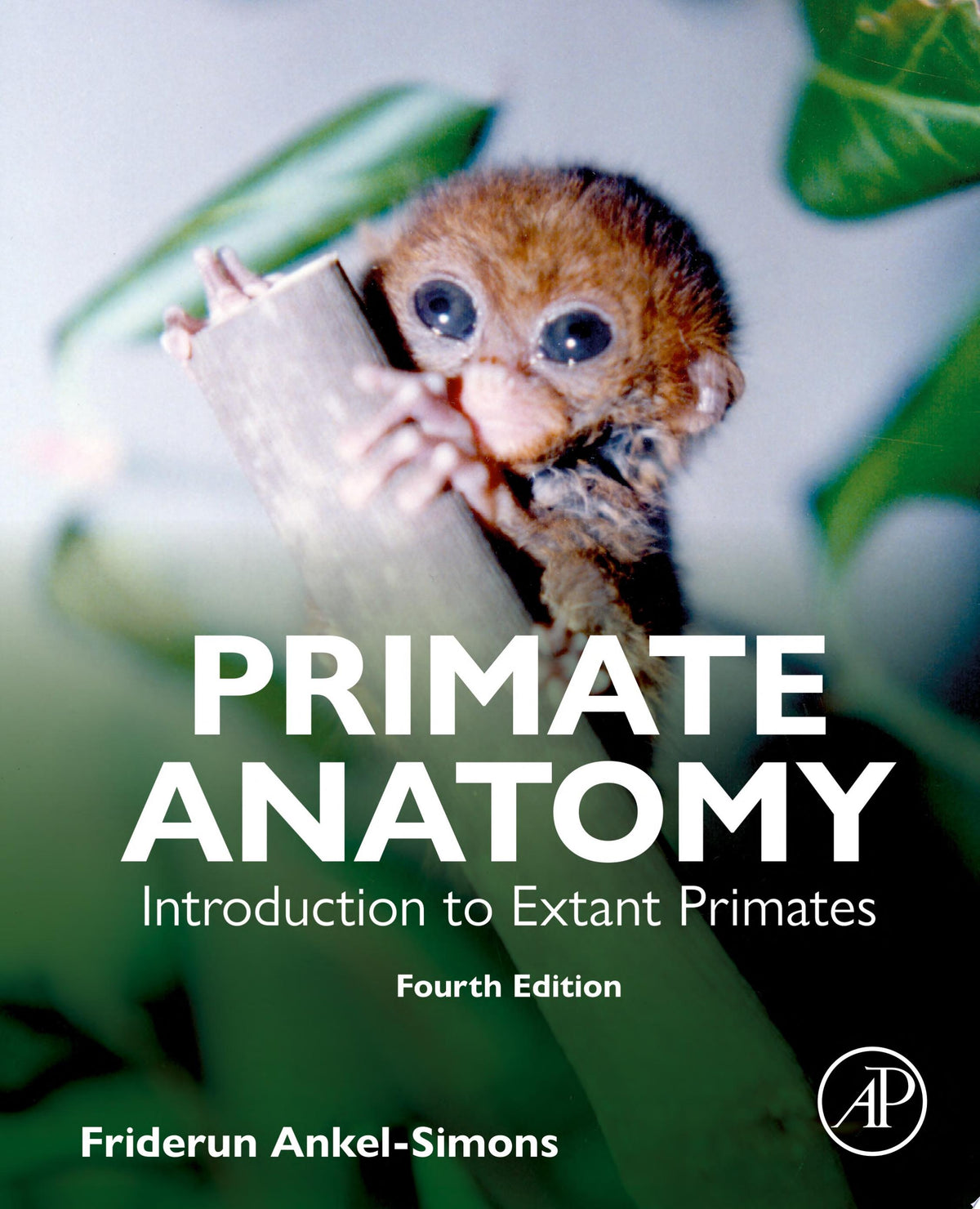 Primate Anatomy: Introduction to Extant Primates, 4th Edition