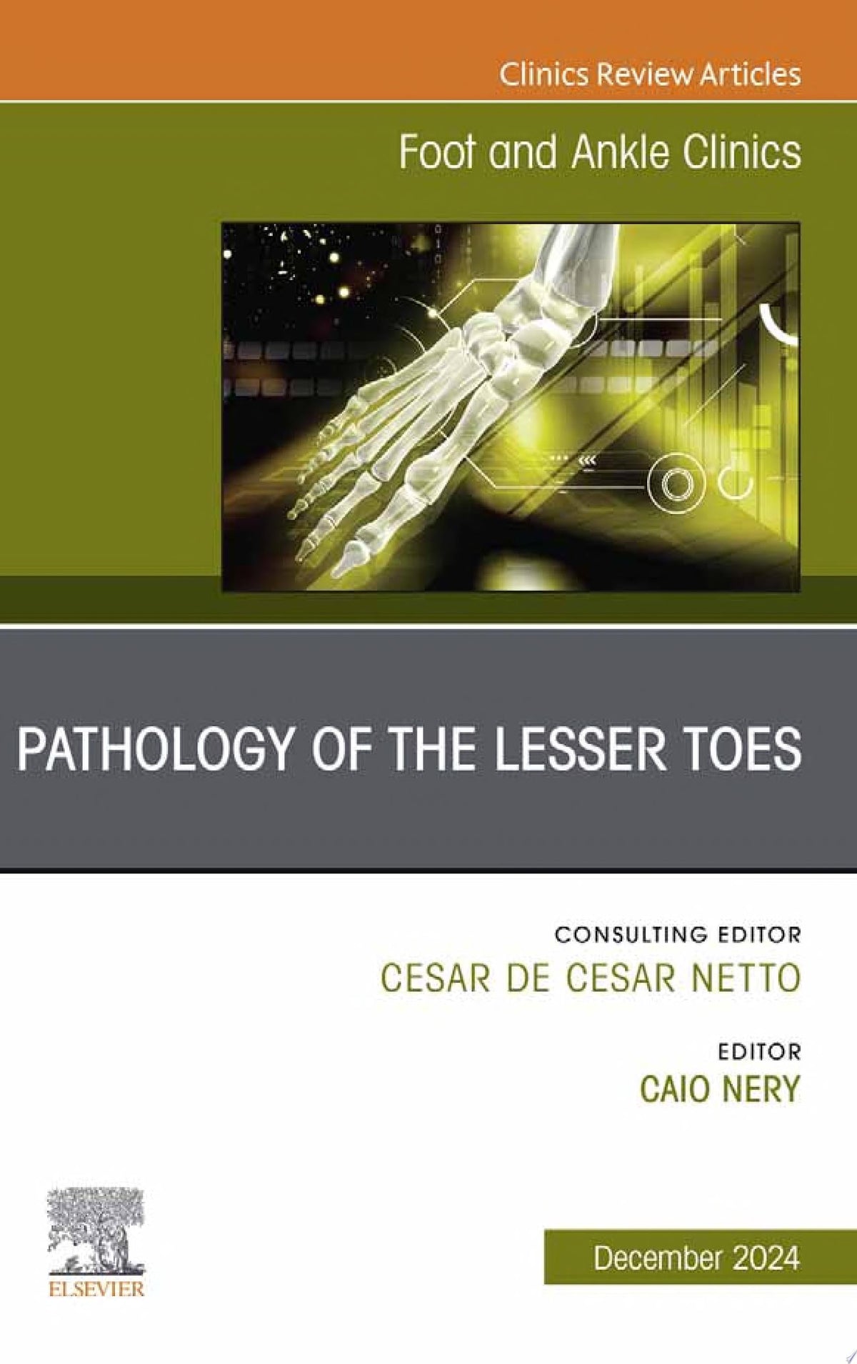 Pathology of the Lesser Toes, An issue of Foot and Ankle Clinics of North America