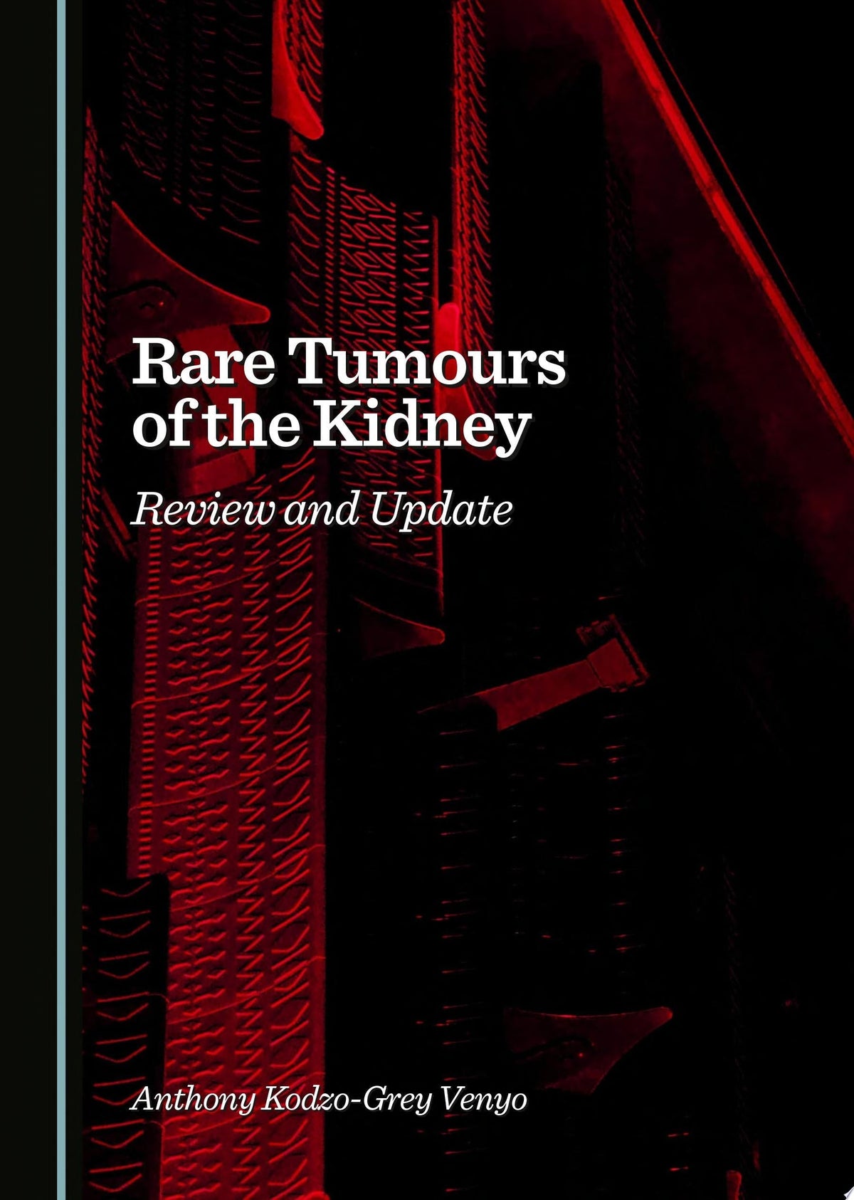 Rare Tumours of the Kidney: Review and Update