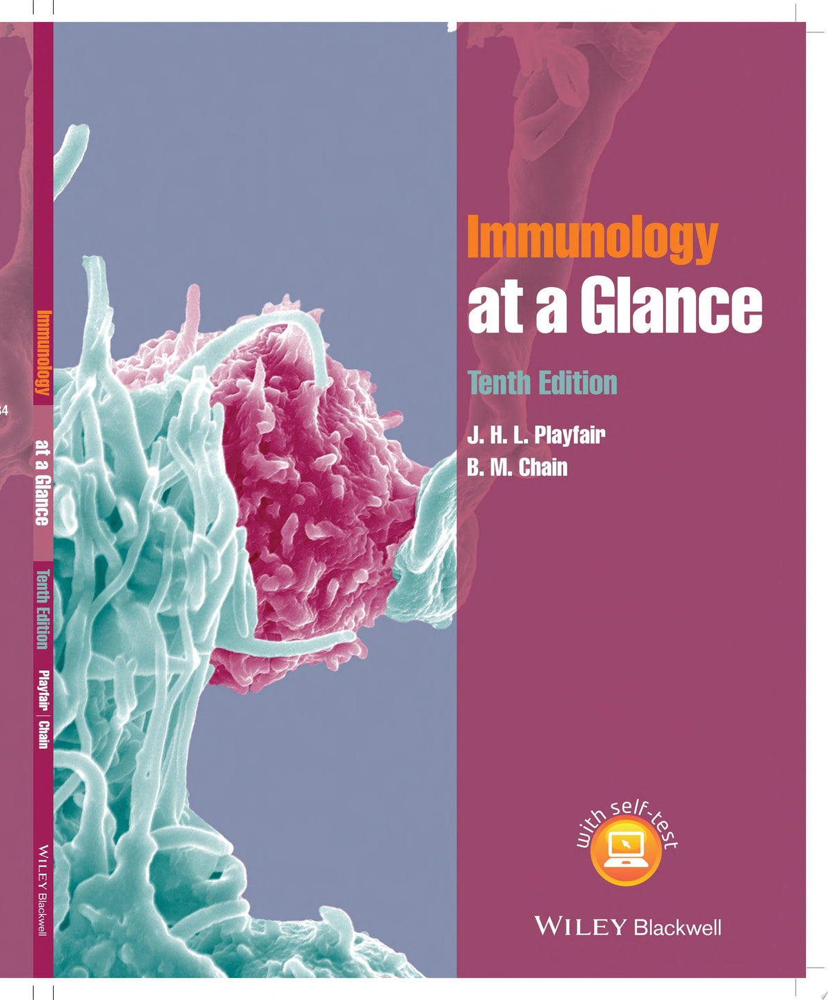 Immunology at a Glance 10th