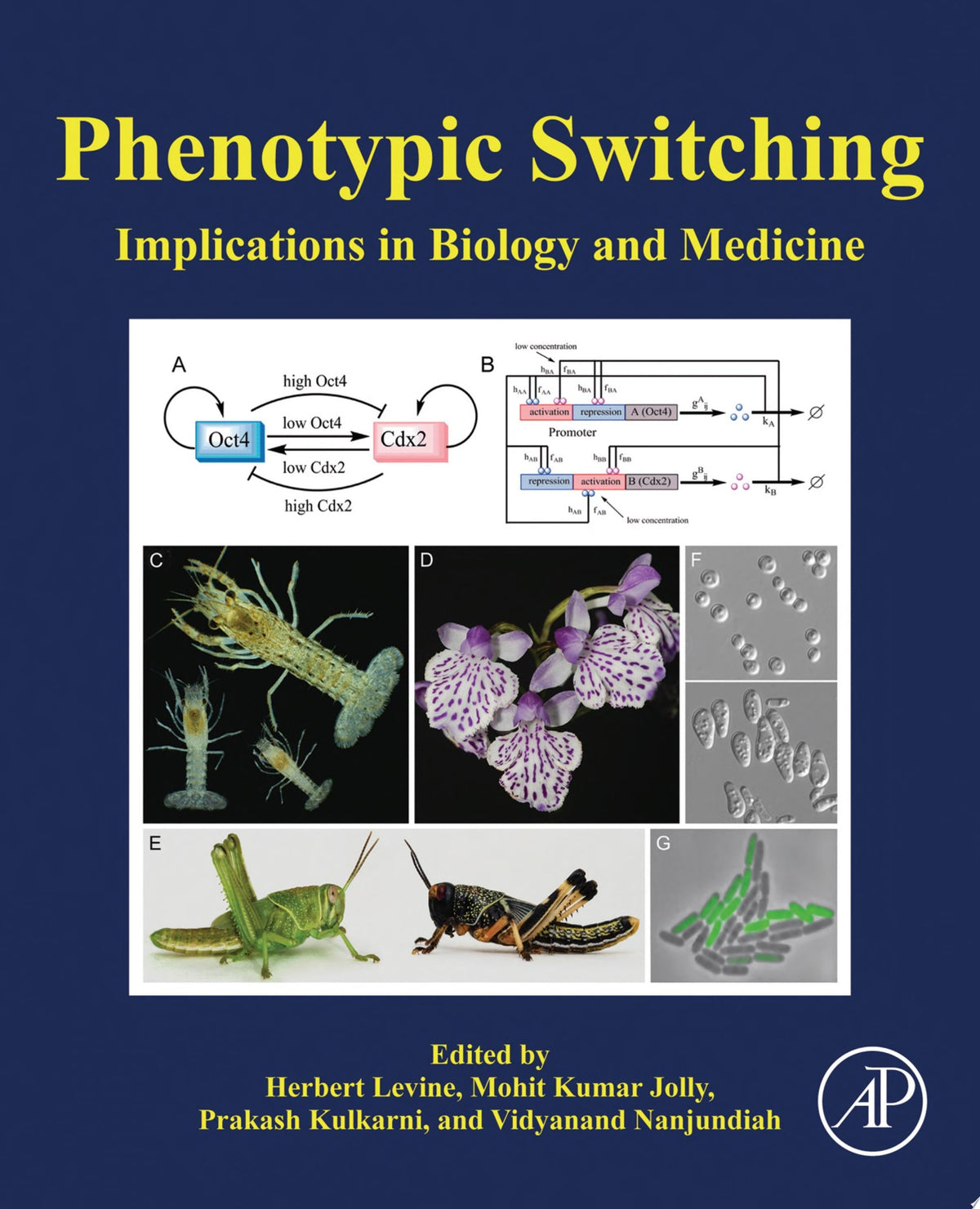 Phenotypic Switching: Implications in Biology and Medicine