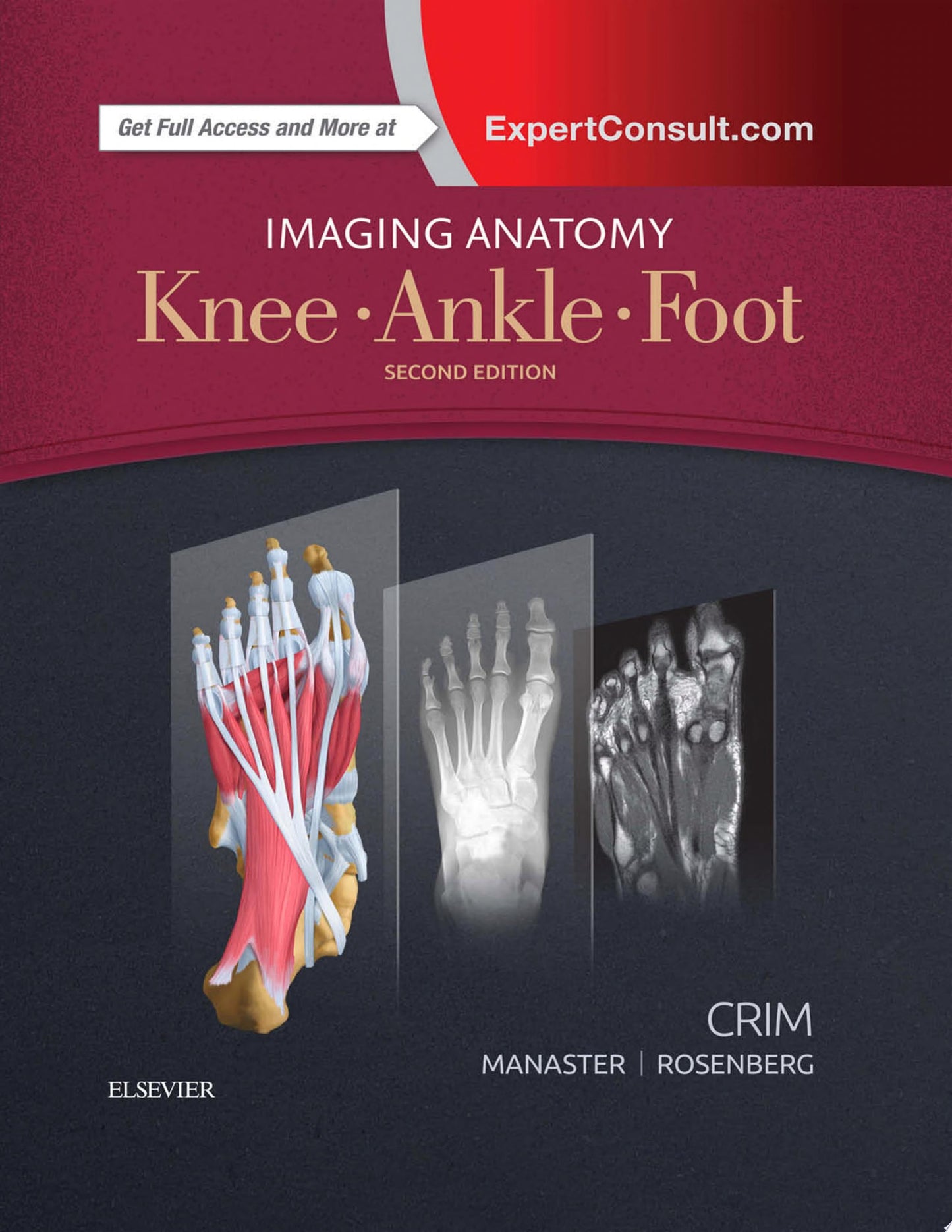 Imaging Anatomy: Knee, Ankle, Foot, 2nd Edition (PDF)