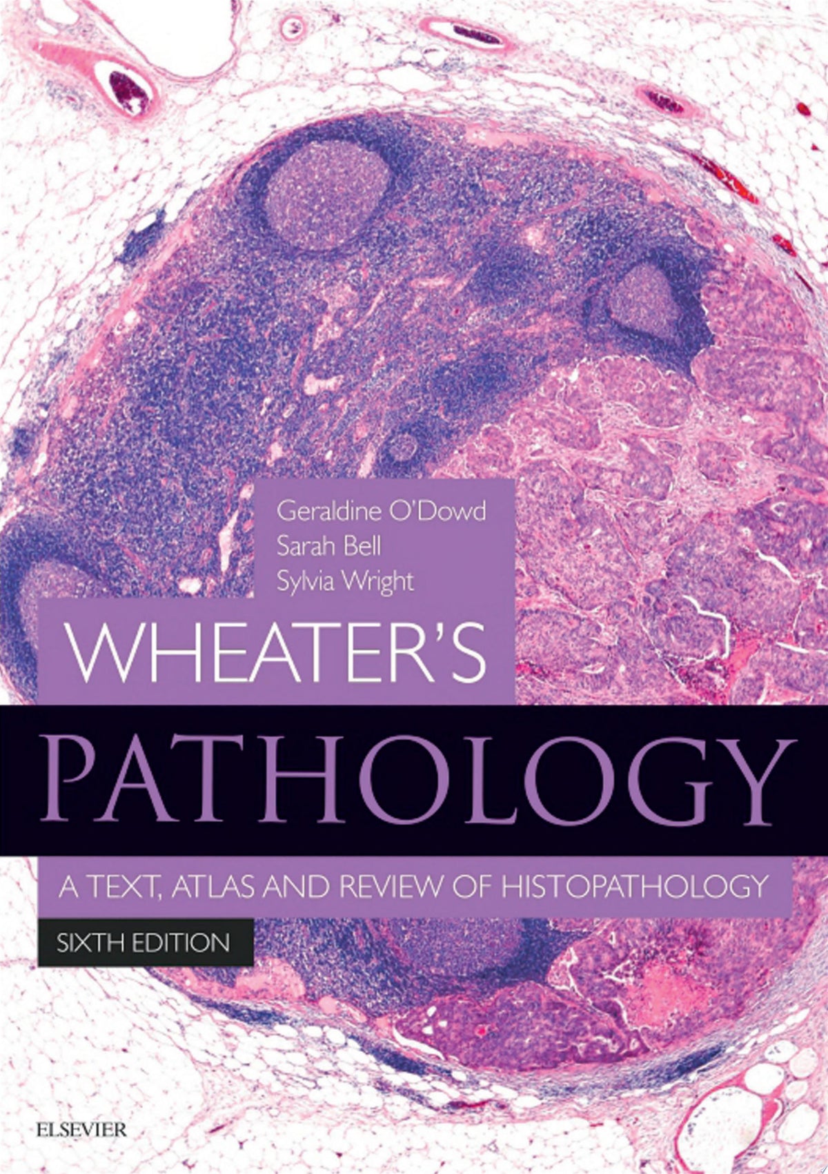 Wheater’s Pathology: A Text, Atlas and Review of Histopathology, 6th Edition
