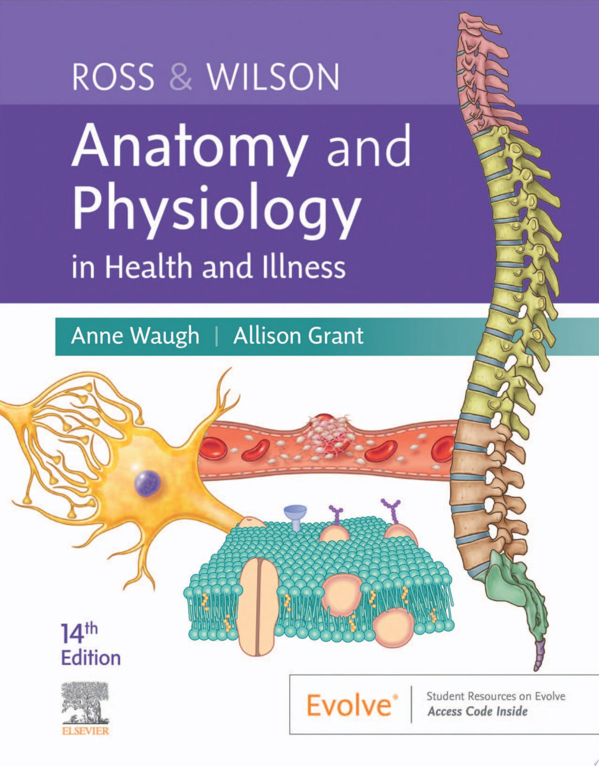 Ross & Wilson Anatomy and Physiology in Health and Illness, 14th Edition